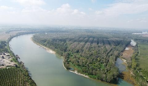 Riforestazione forestale presso Isola Maria Luigia