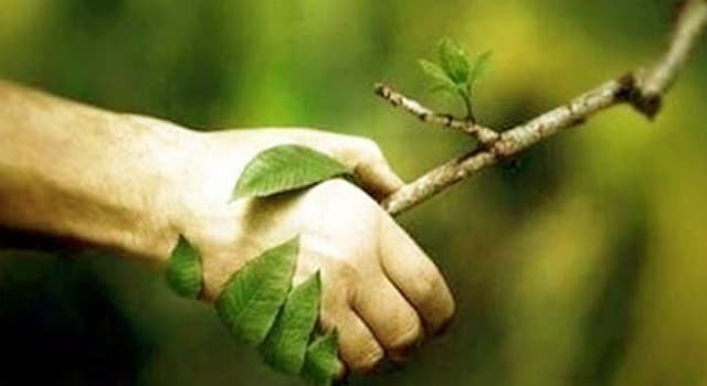 Sostenibilità: autovautazione e obiettivi di miglioramento