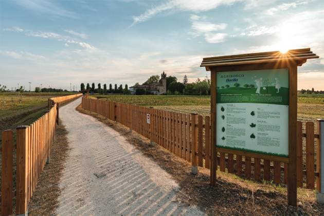 Progetto di forestazione AGRIBOSCO Barilla