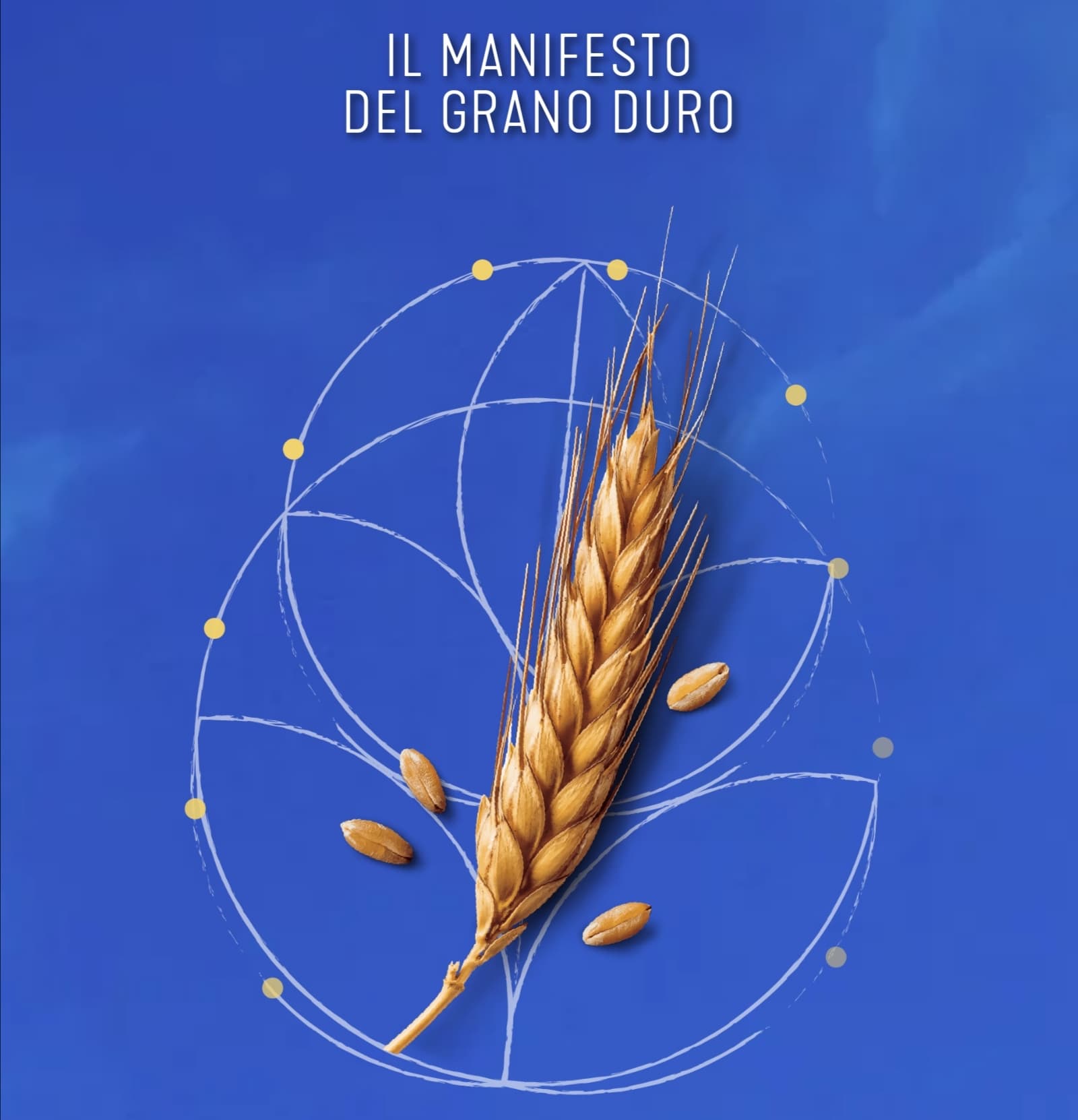 Sostituzione Decorticatrici