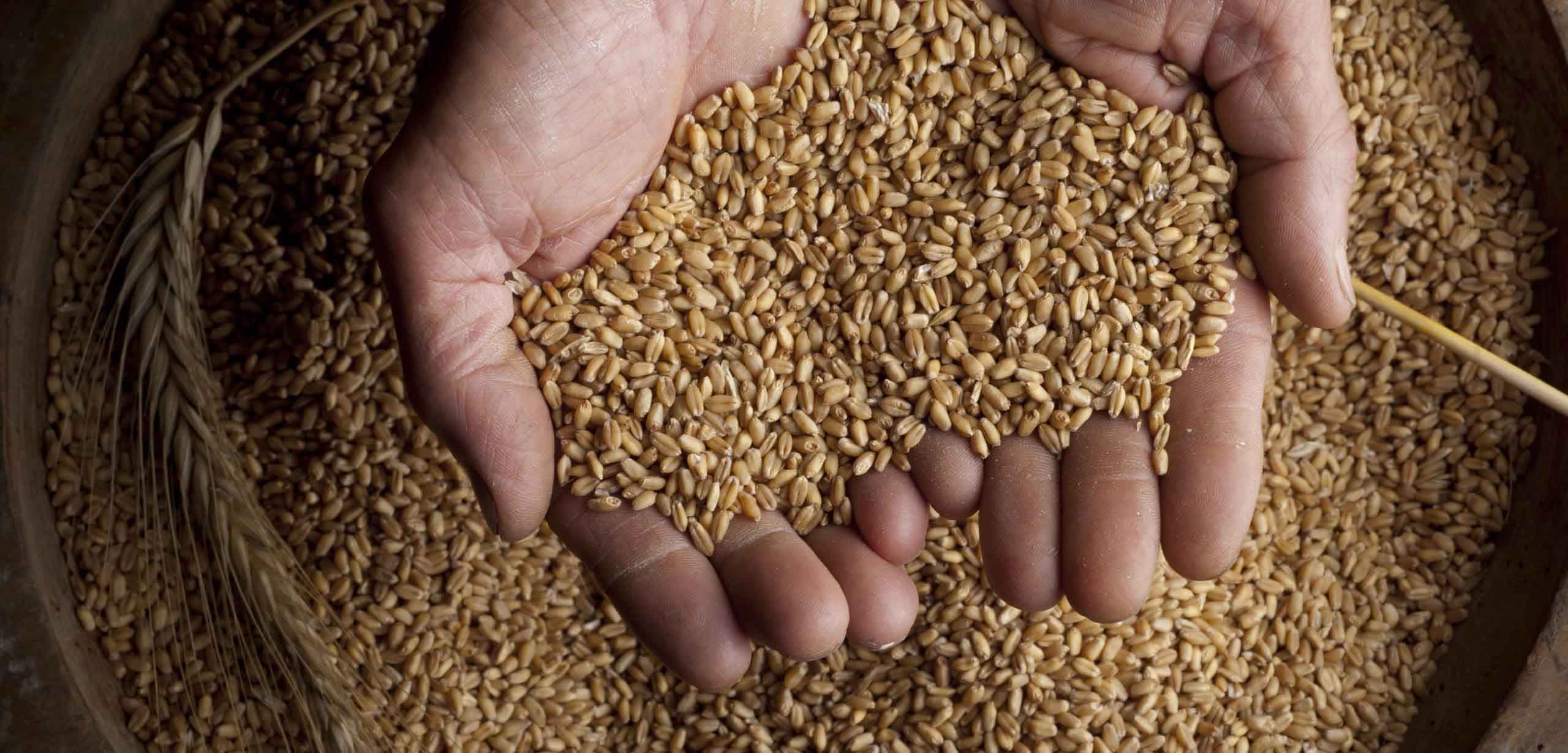 Ottimizzazione del diagramma Molitorio