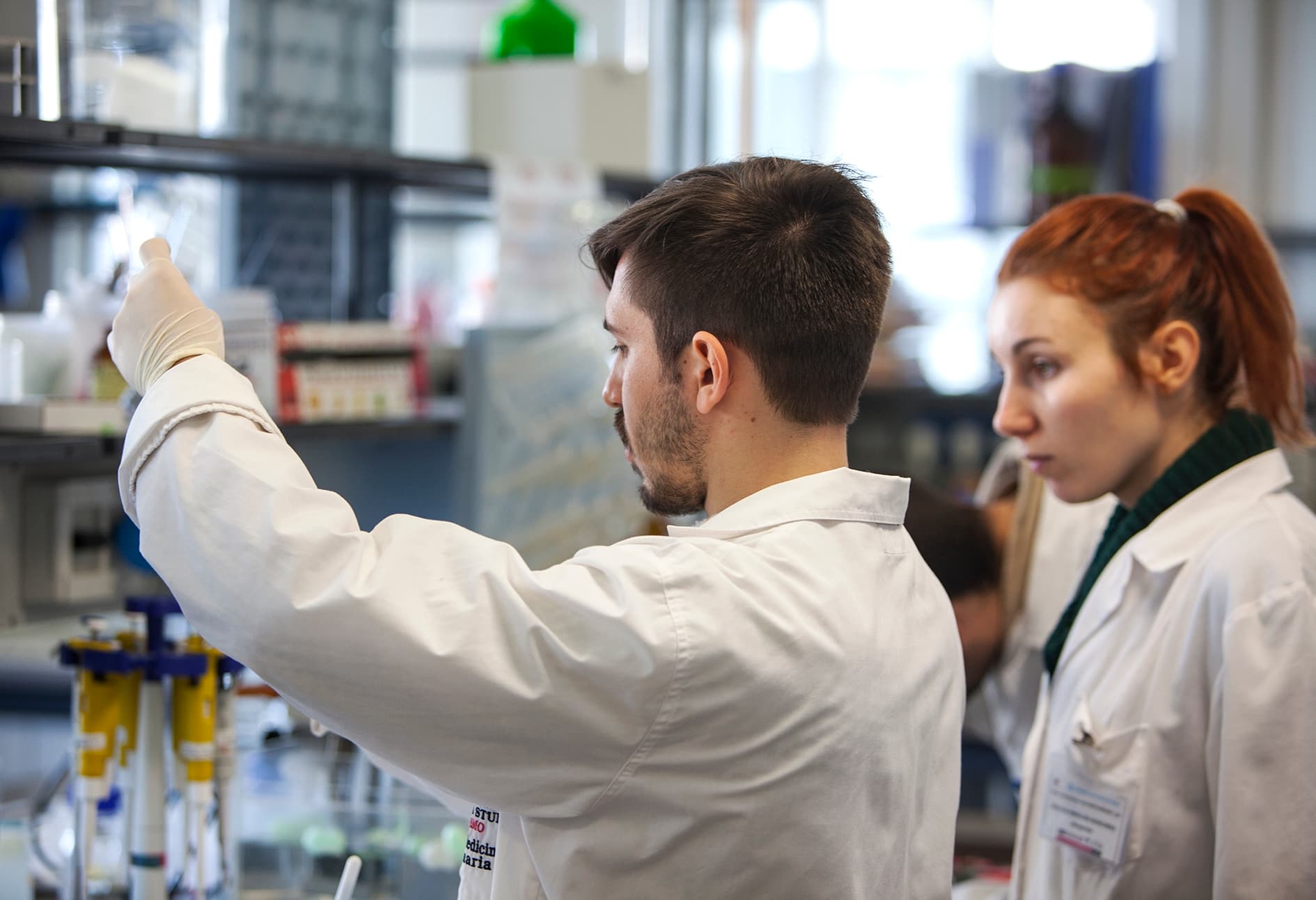 Attività di ricerca e sviluppo