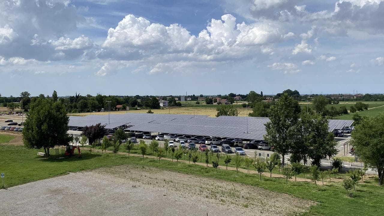Piantumazione alberi in stabilimento